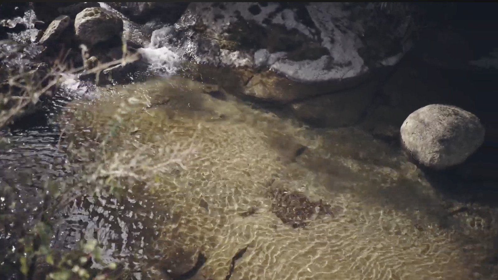 Sunlight moving through clear water and over stones.