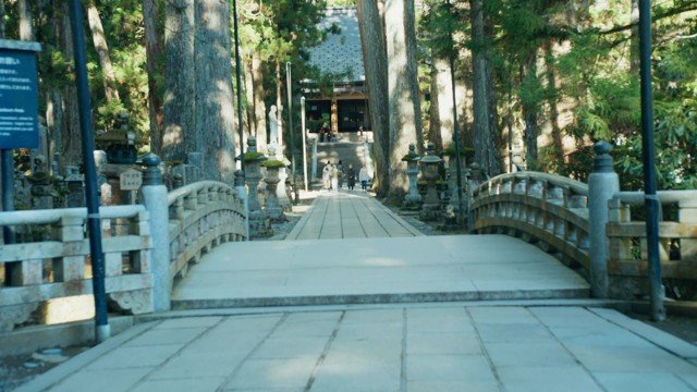 A stone bridge leading toward a temple among cedars
