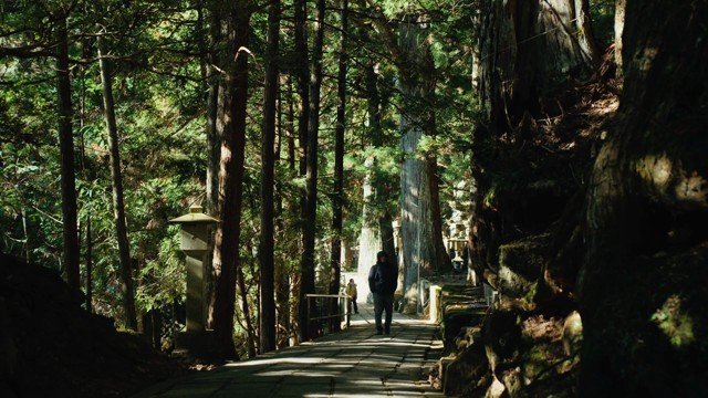 A lone pilgrim descending a shaded stone path