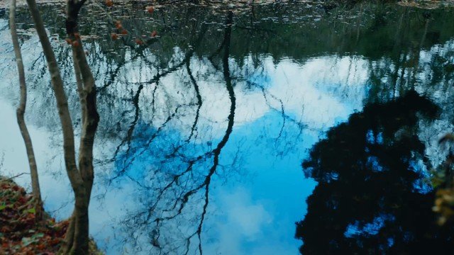 Sky and bare branches inverted in still water