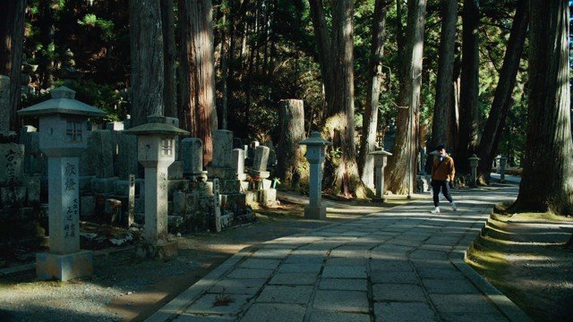 Pilgrims moving through an immense cedar precinct