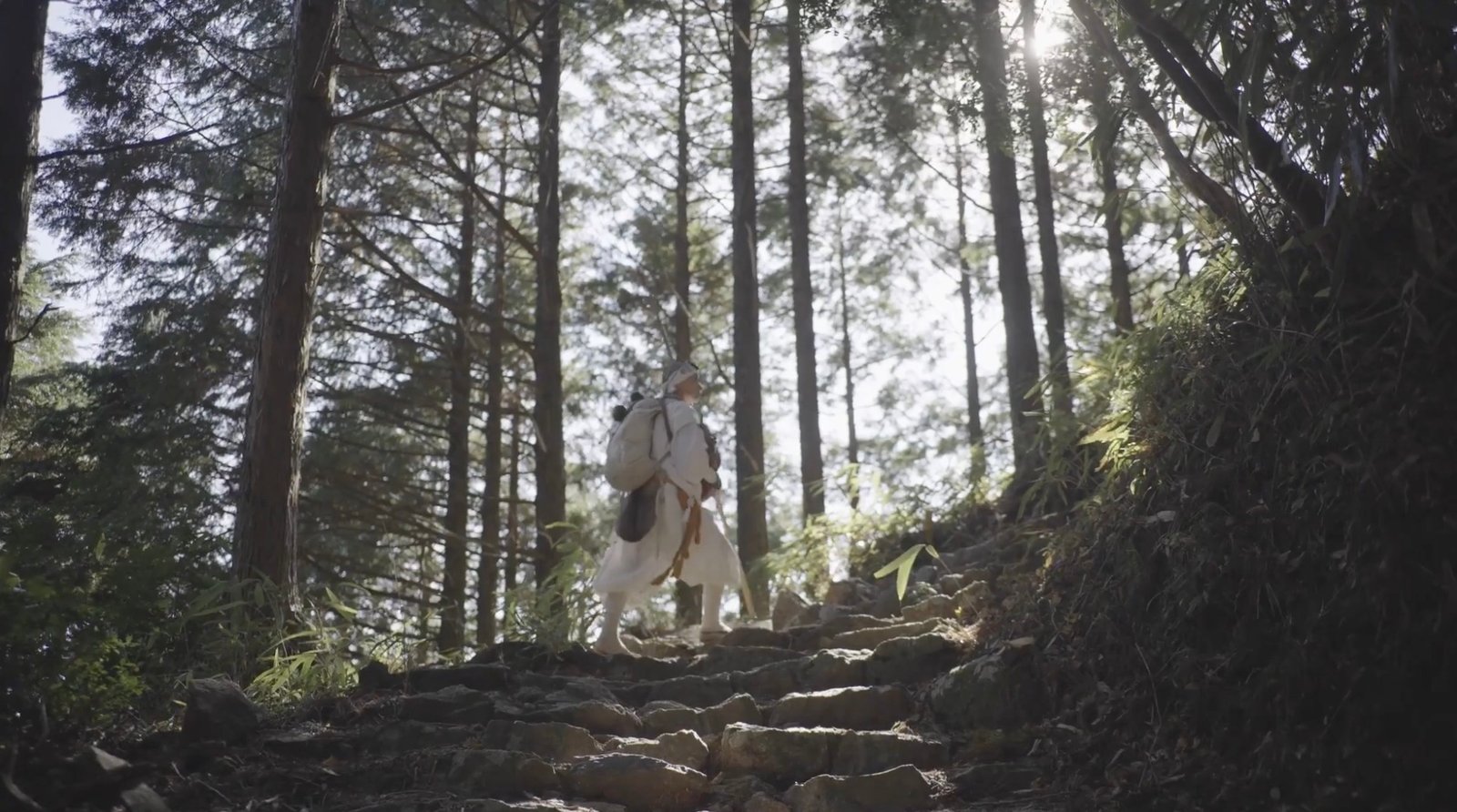 A yamabushi ascending stone steps through the light of the forest.